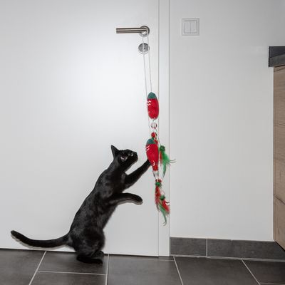 Katzenspielzeug Türhänger Handschuhe