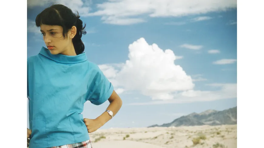 Joan Baez: I Am A Noise
