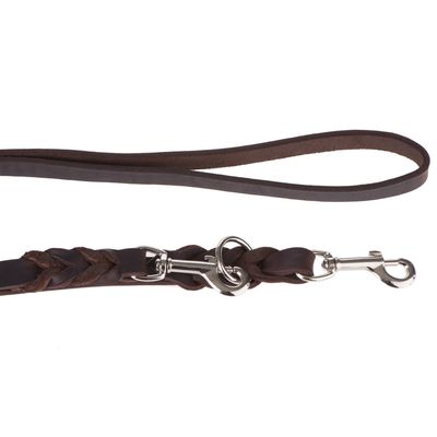 Heim Doppelleine aus Leder mit eingeflochtenem Karabiner