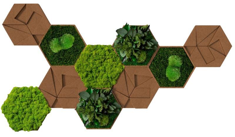 Best of GREEN Kork-Hexagon Set mit 10 Grün, Braun