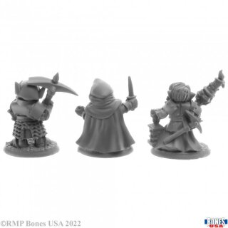 Deep Gnome Adventurers (3)