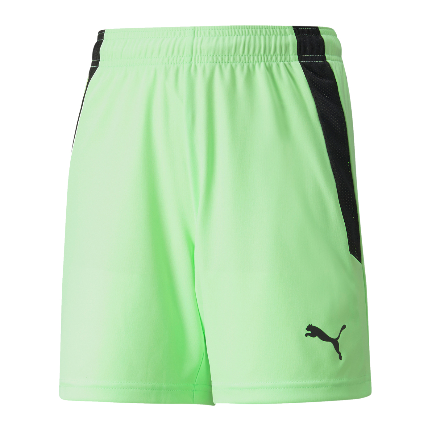 PUMA teamLIGA Short Kids Grün Schwarz F20
