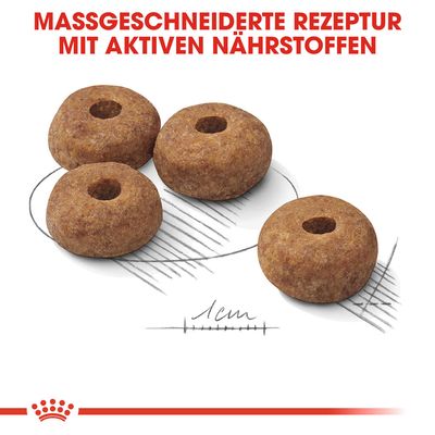 Royal Canin Medium Sterilised