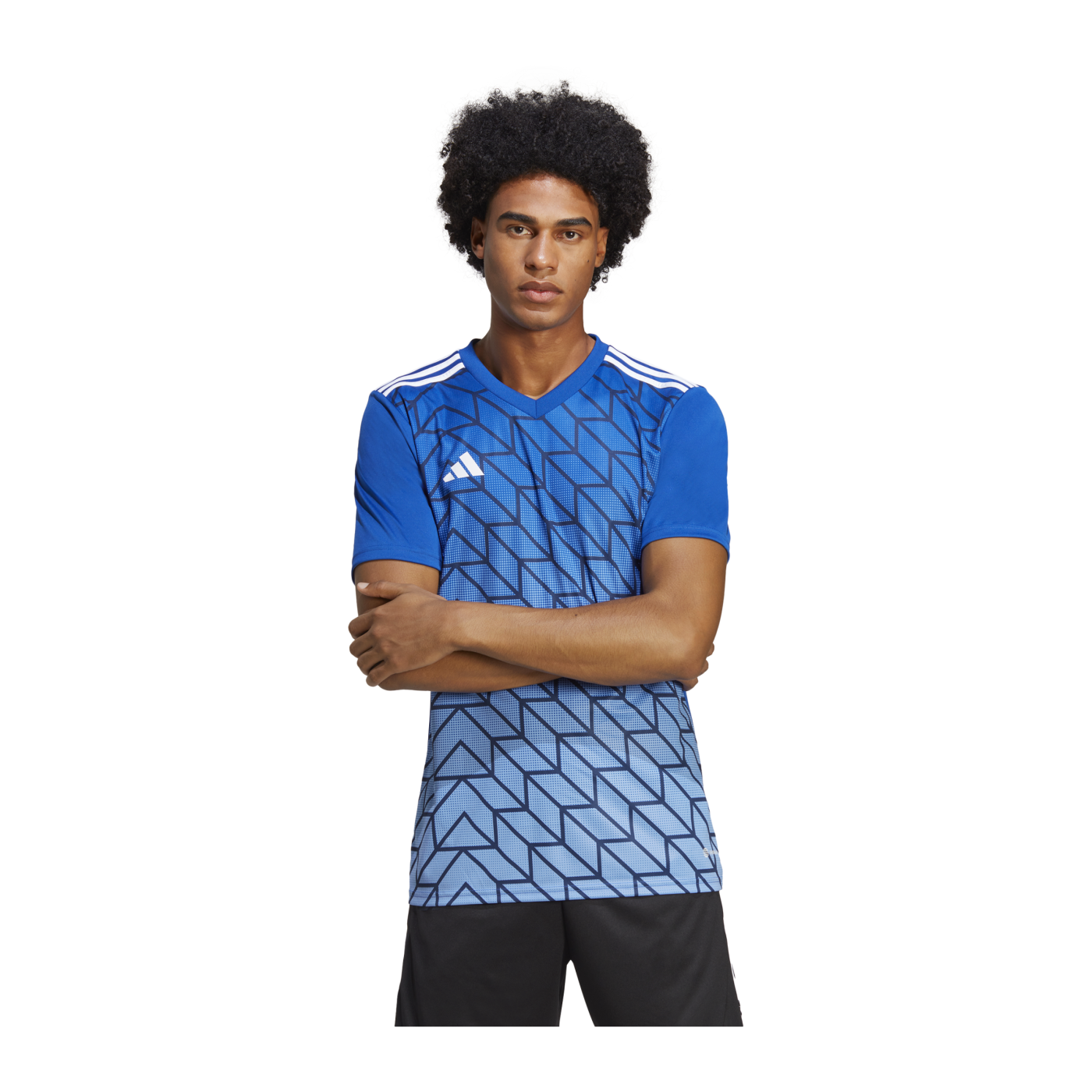 adidas Team Icon 23 Trikot Blau