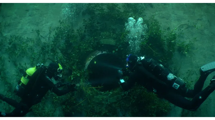 The Deep House