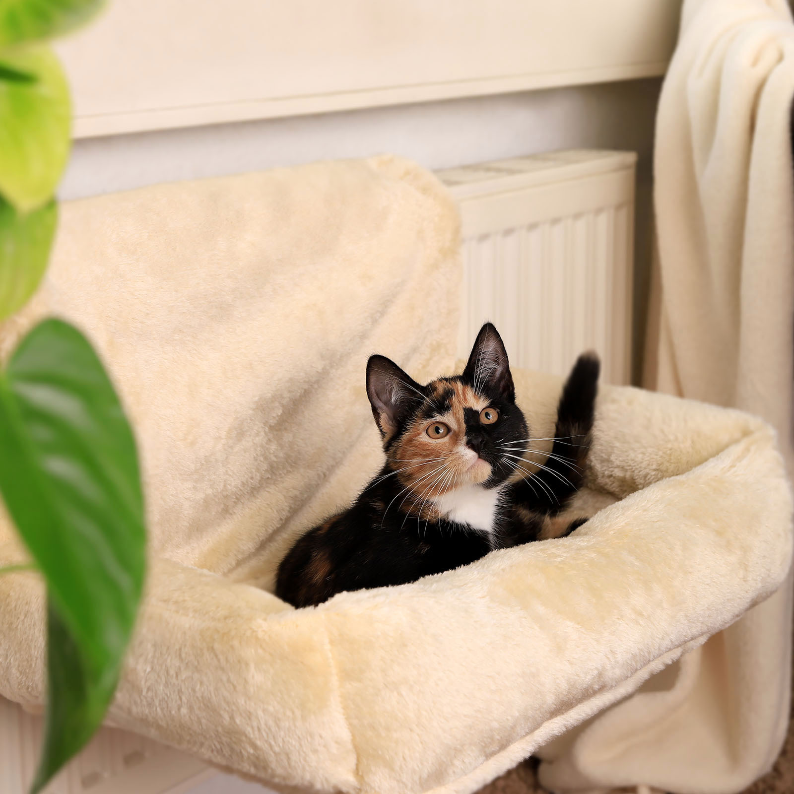 Lionto Katzenhängematten & Fensterliegeplätze Lionto Katzenbett für Heizungen beige