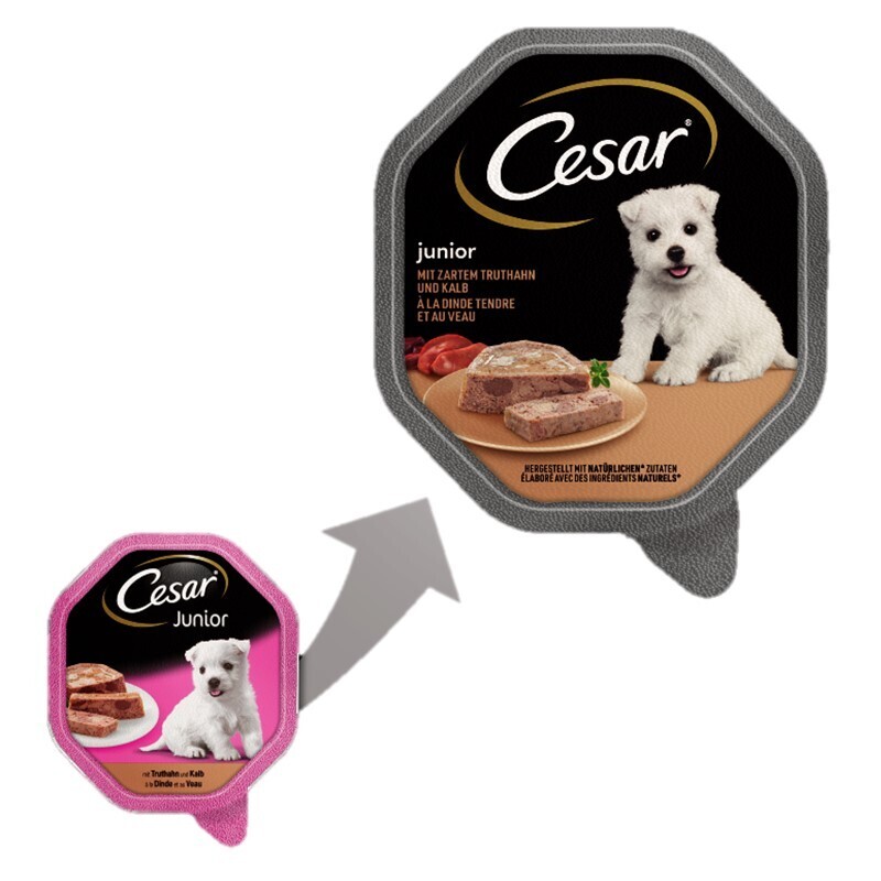 Cesar Hundenassfutter Cesar Junior 14x150g