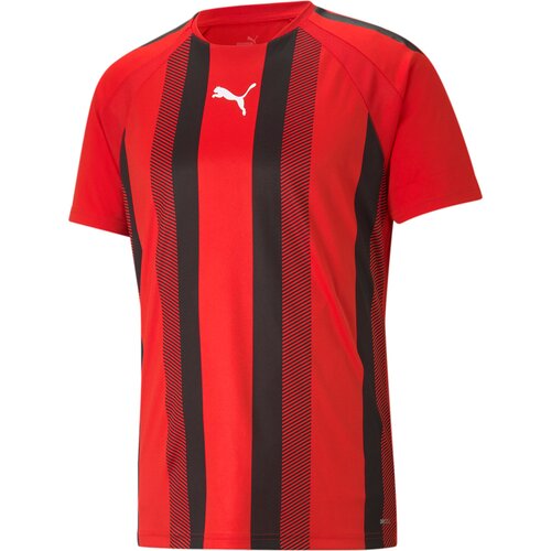 HERREN FANSHIRT TEAMLIGA STRIPED JERSEY