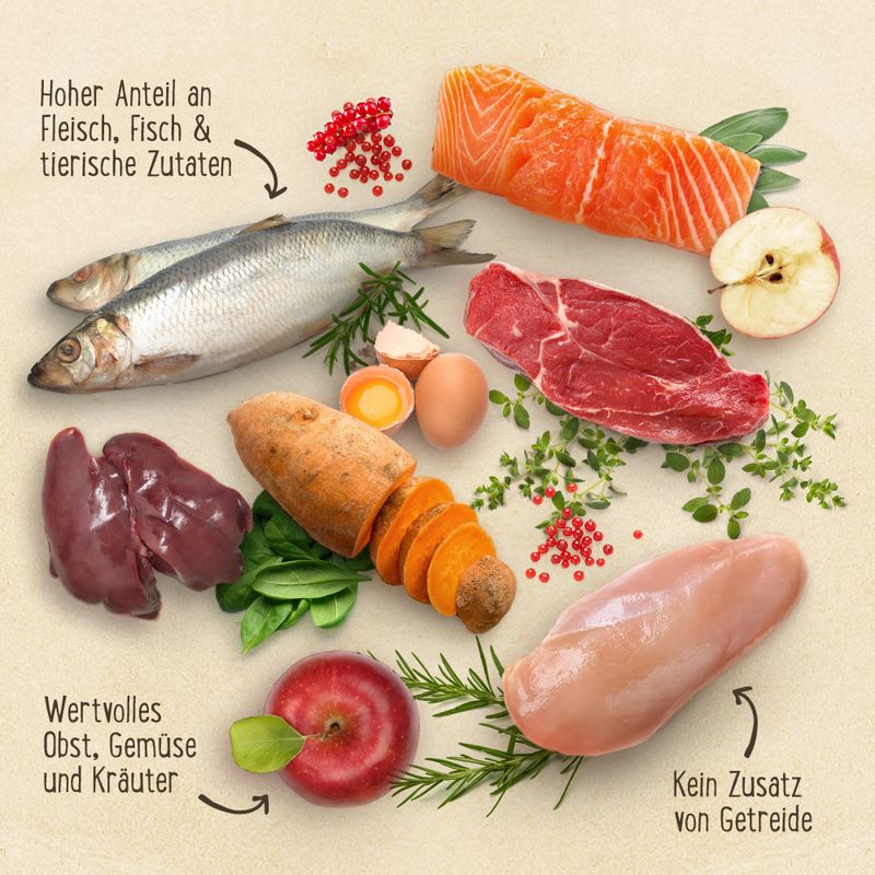Purizon Adult Wildschwein mit Huhn zu TOP-Preisen