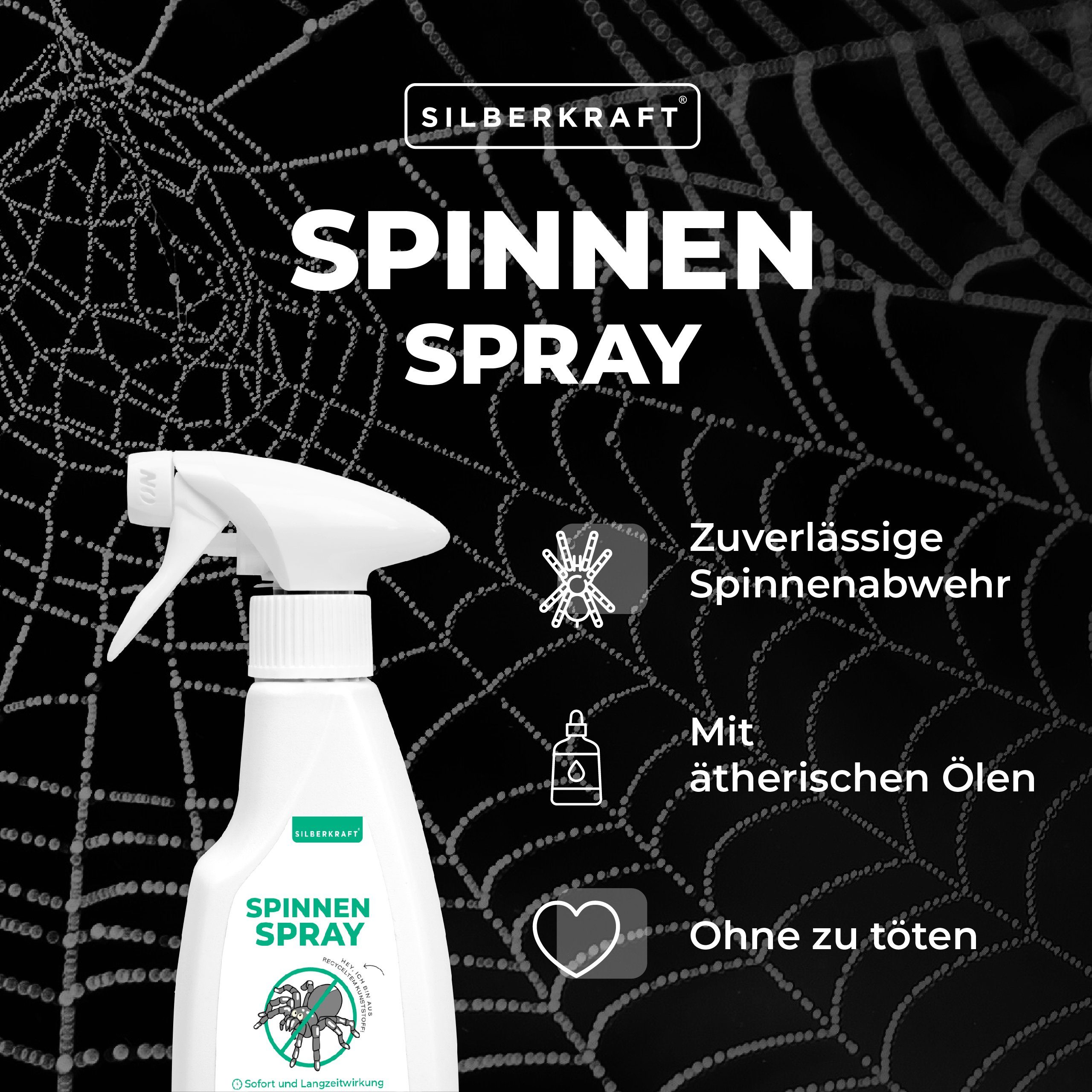 Silberkraft Insektenspray Spinnenspray, 250 ml, 1-St.
