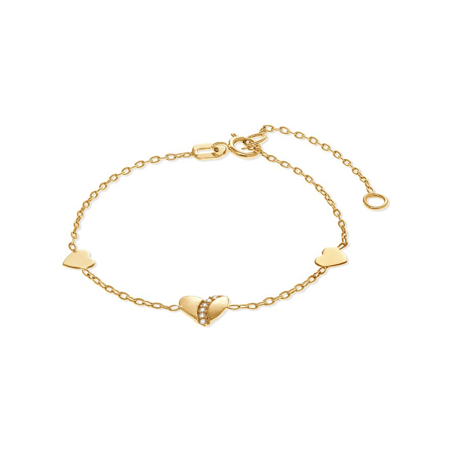 FAVS Armband