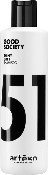 Artego Good Society Shiny Grey Shampoo Shampoo