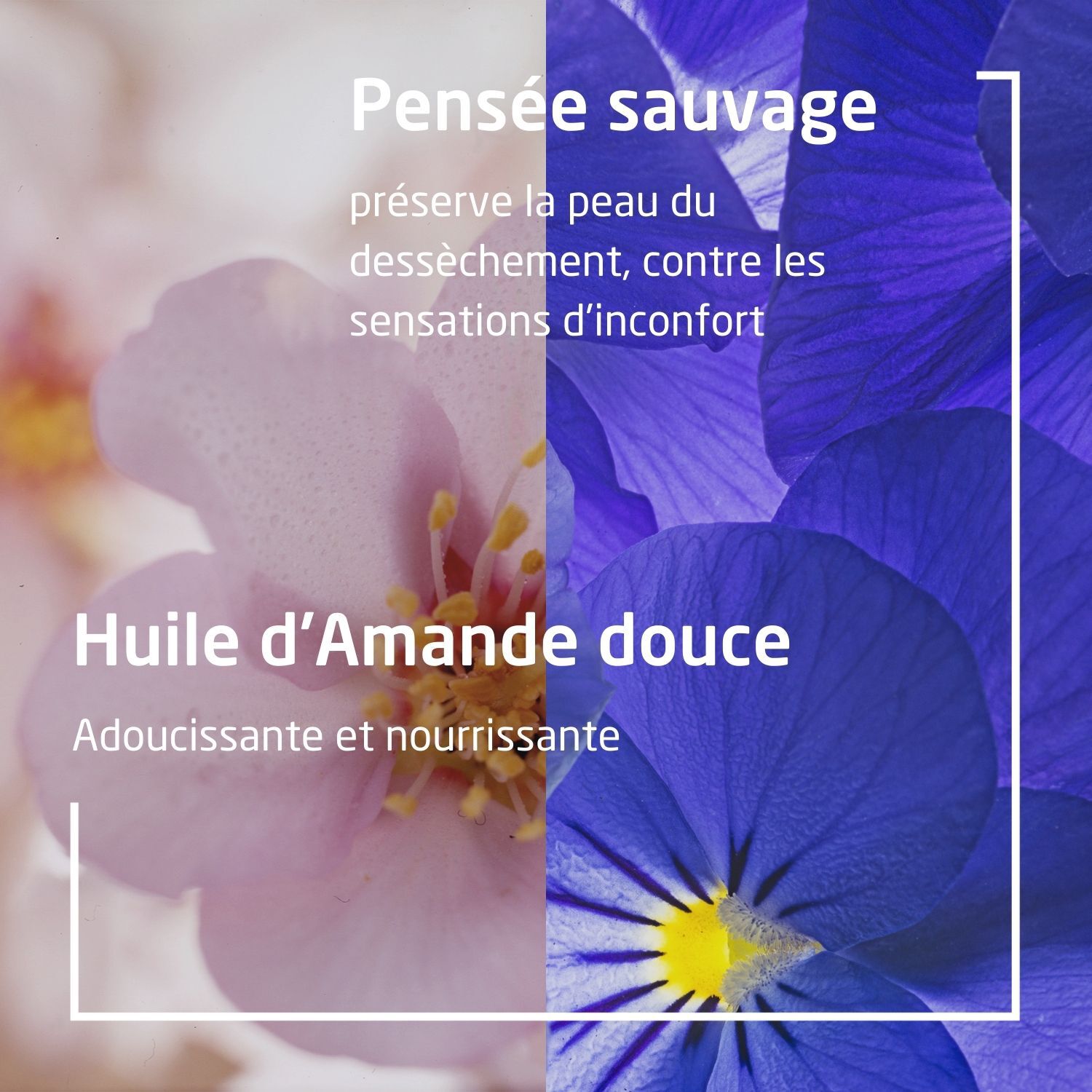Weleda Homme Crème à Raser - Tous Types de Peaux - Prépare la Peau au Rasage - 75 ml