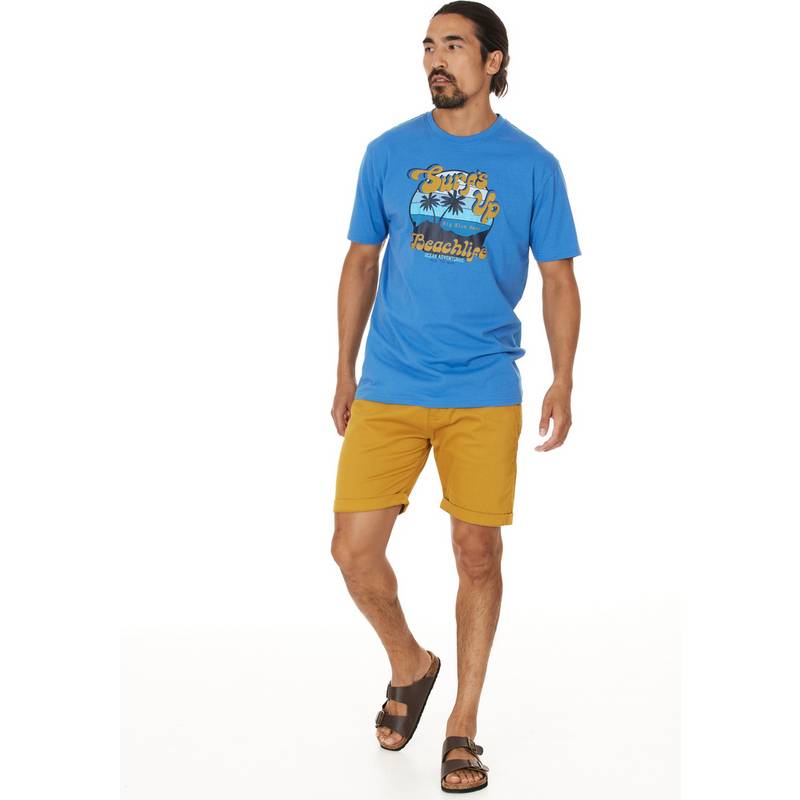 Cruz Jerryne Shorts Herren