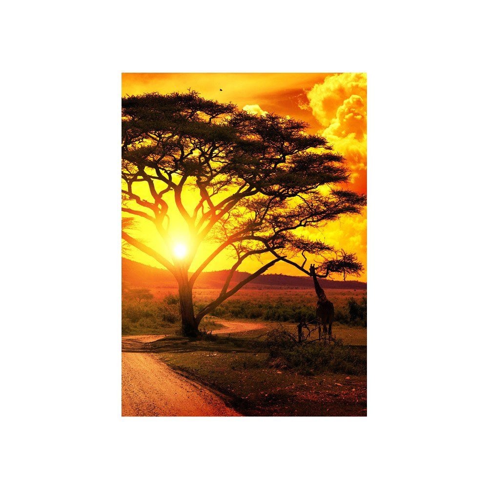 liwwing Fototapete Fototapete Sonnenuntergang Baum Giraffe Savanne Himmel Afrika liwwing no. 999, Afrika