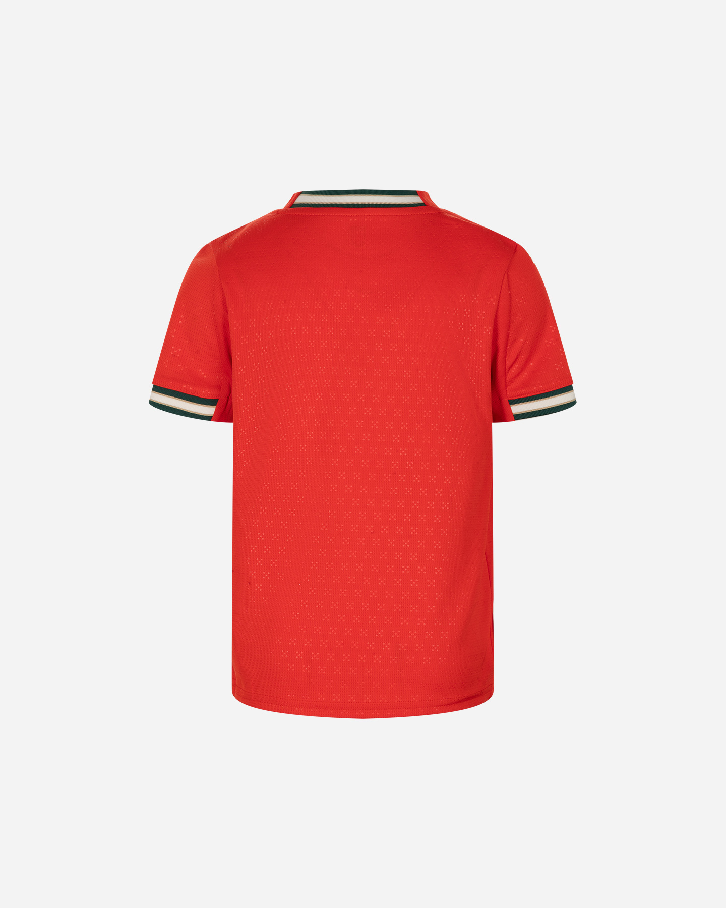 Oficjalna koszulka piłkarska Puma Portugalia Jr. 779193-01
