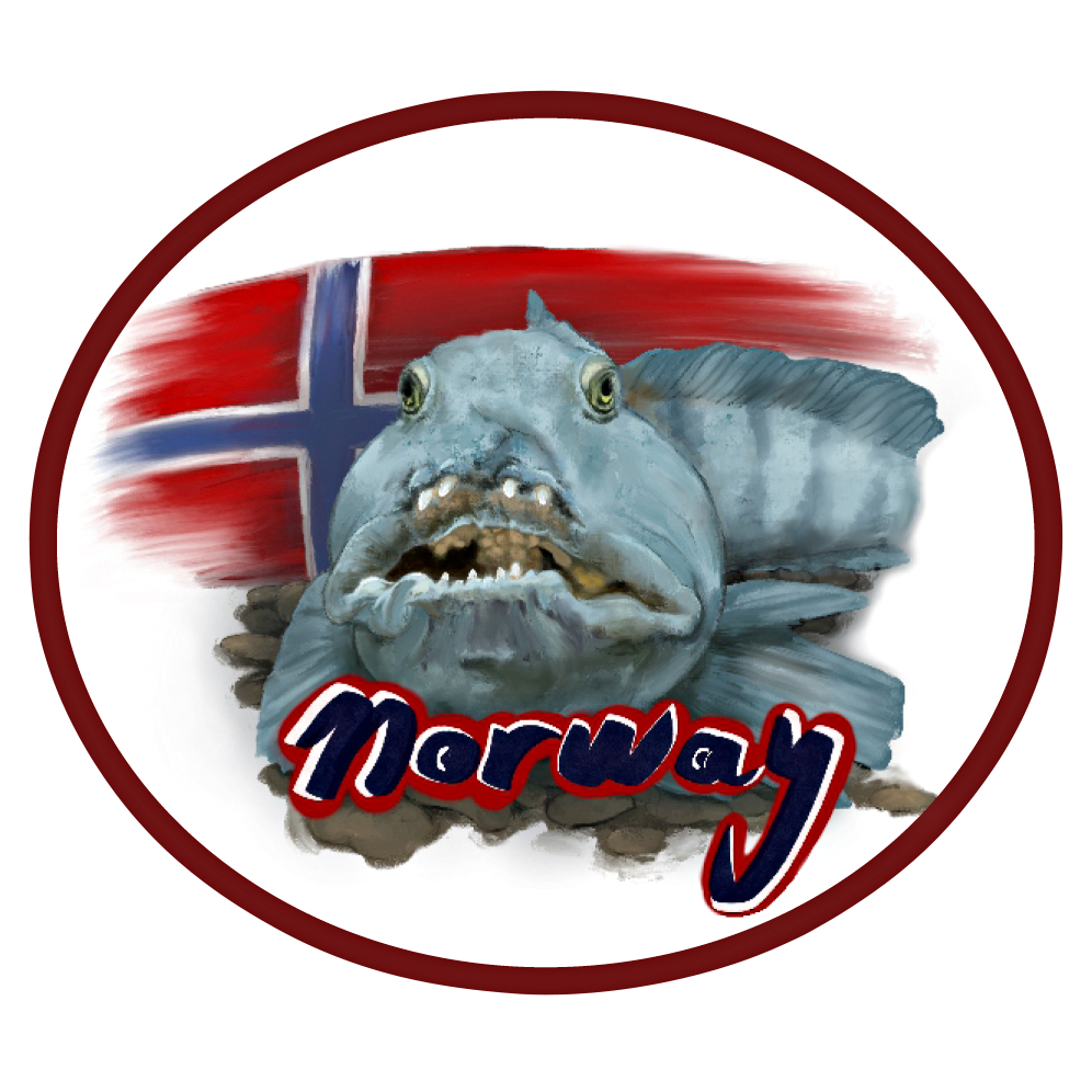 Aufnöher Norway
