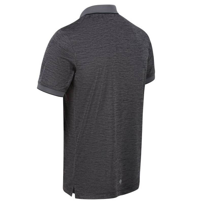 Regatta Remex II Poloshirt Herren