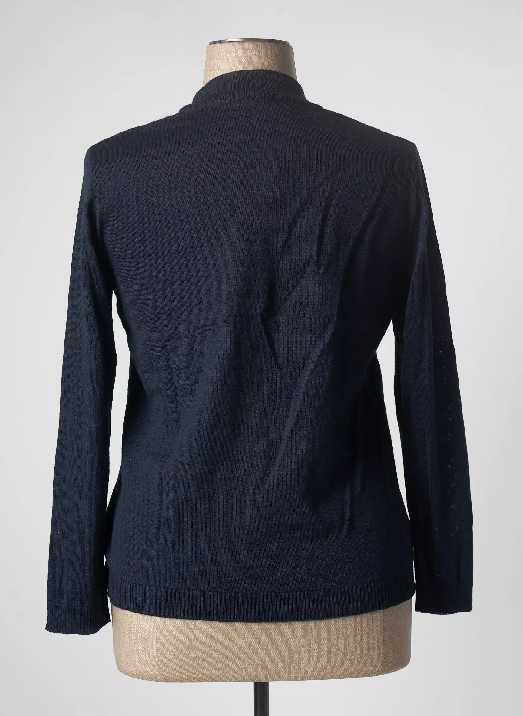 Eleane Pulls Femme couleur bleu