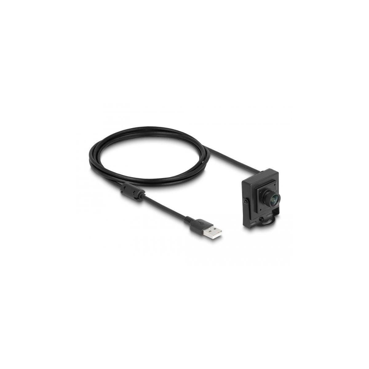 Delock USB 2.0 Kamera 2,1 Megapixel 100° Fixfokus Mini-PC