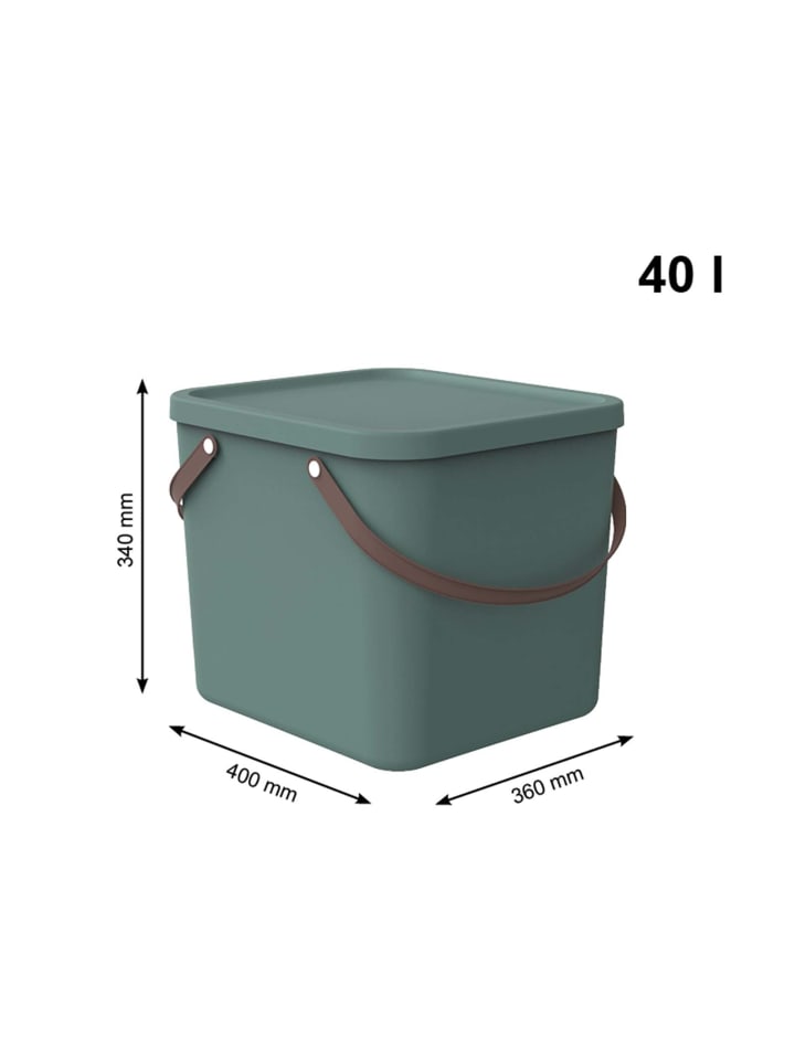 Rotho 2er-Set Aufbewahrungsbox 40l mit Deckel in Mistletoe grün günstig kaufen onesize