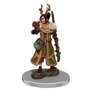D&D Icons of the Realms Premium Miniatur vorbemalt Female Human Druid