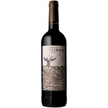 YLIRUM 2022 - VEGA DEMARA