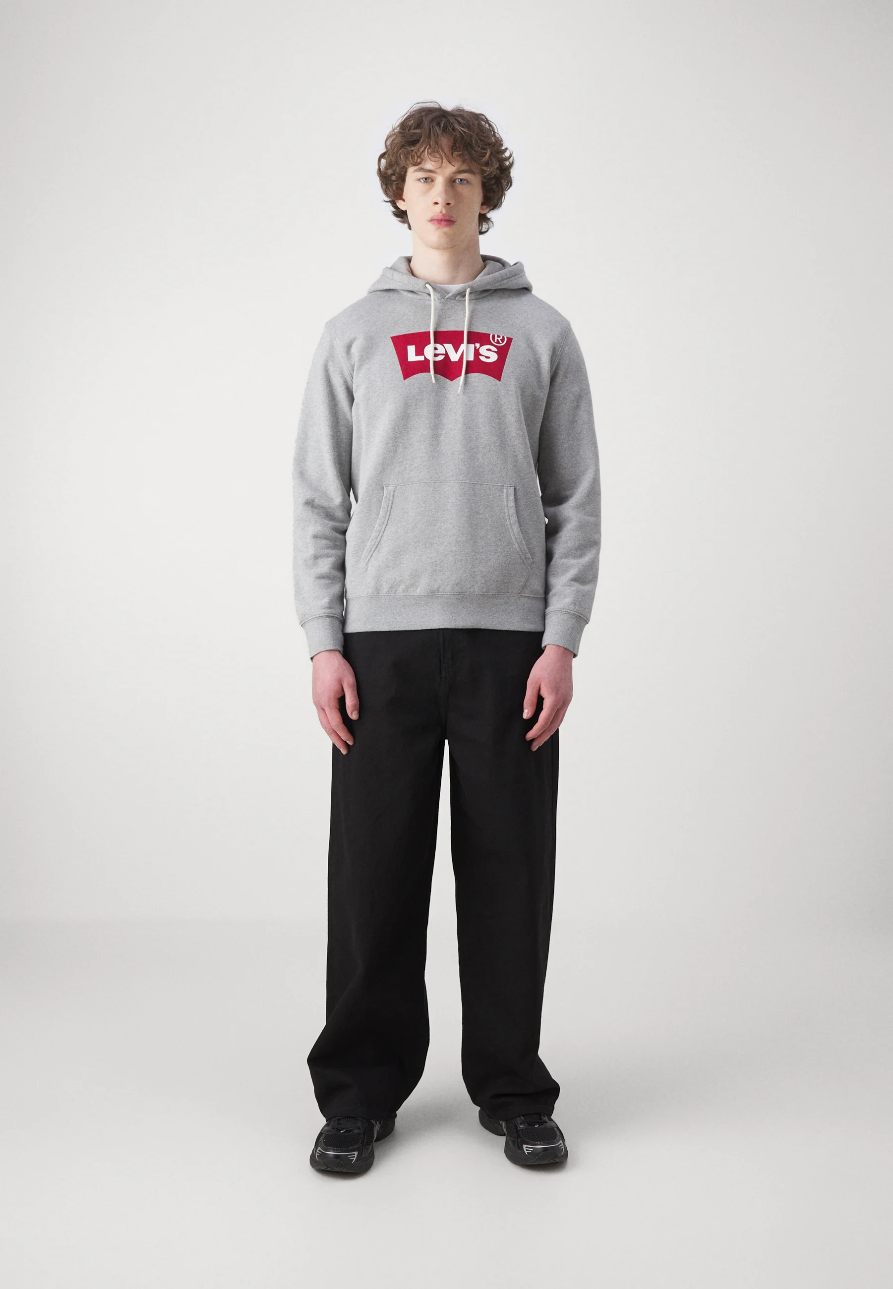 Sudadera con capucha Levi's® STANDARD GRAPHIC - Sudadera con capucha