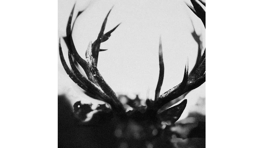 Ihsahn