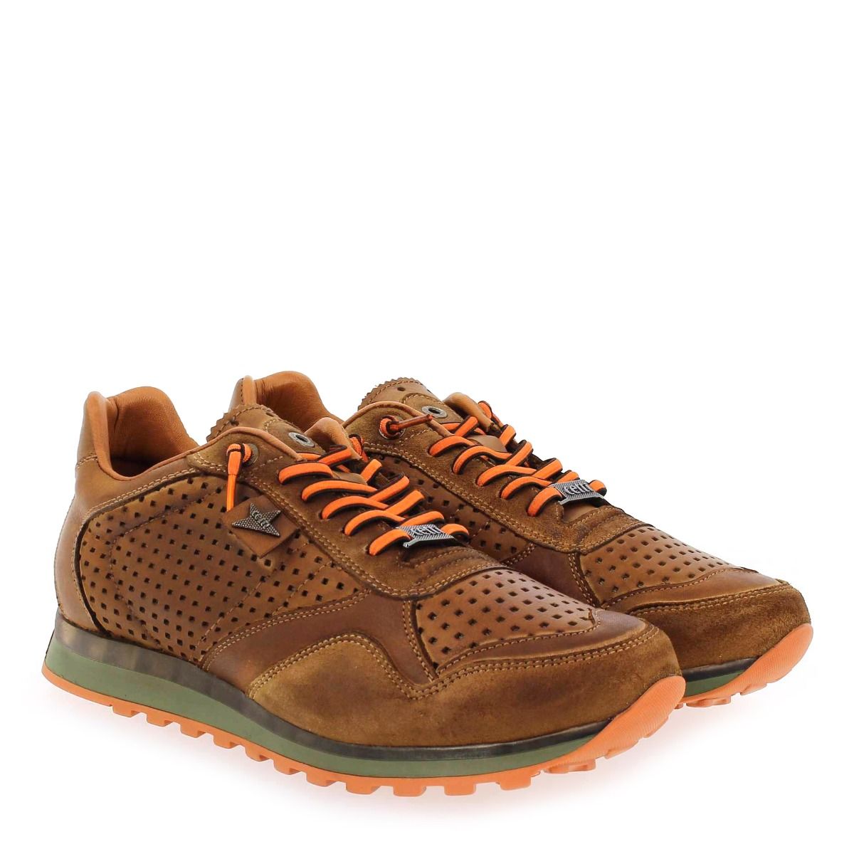 Cetti  C848 H22 - camel
