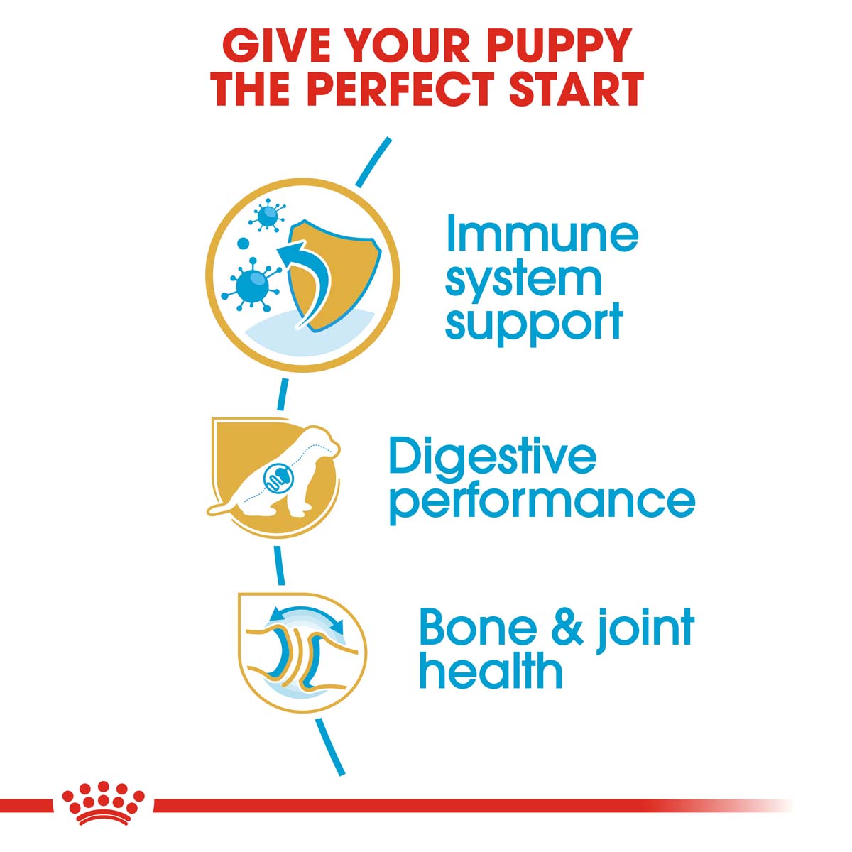 ROYAL CANIN German Shepherd Puppy Welpenfutter trocken für Deutsche Schäferhunde