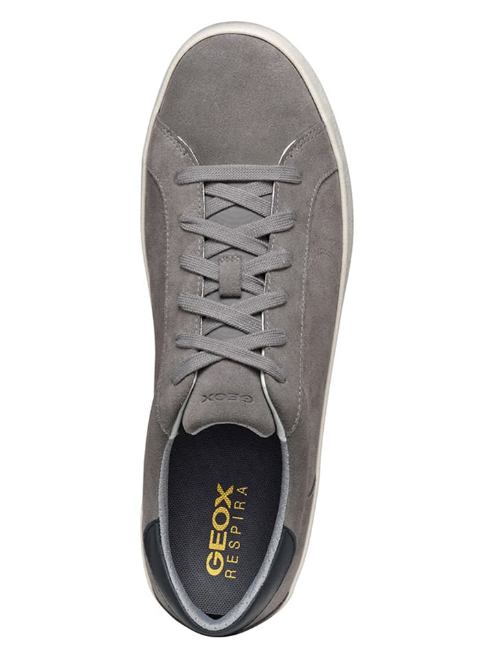 Geox Sneakers 