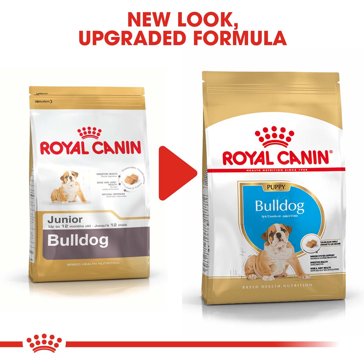 ROYAL CANIN Bulldog Puppy Welpenfutter trocken bei ZooRoyal