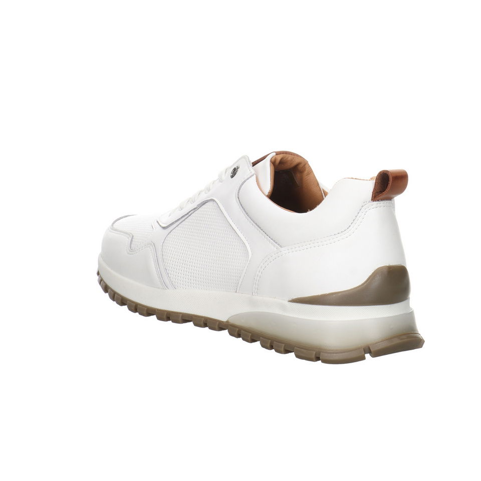 SALAMANDER Leano Sneaker