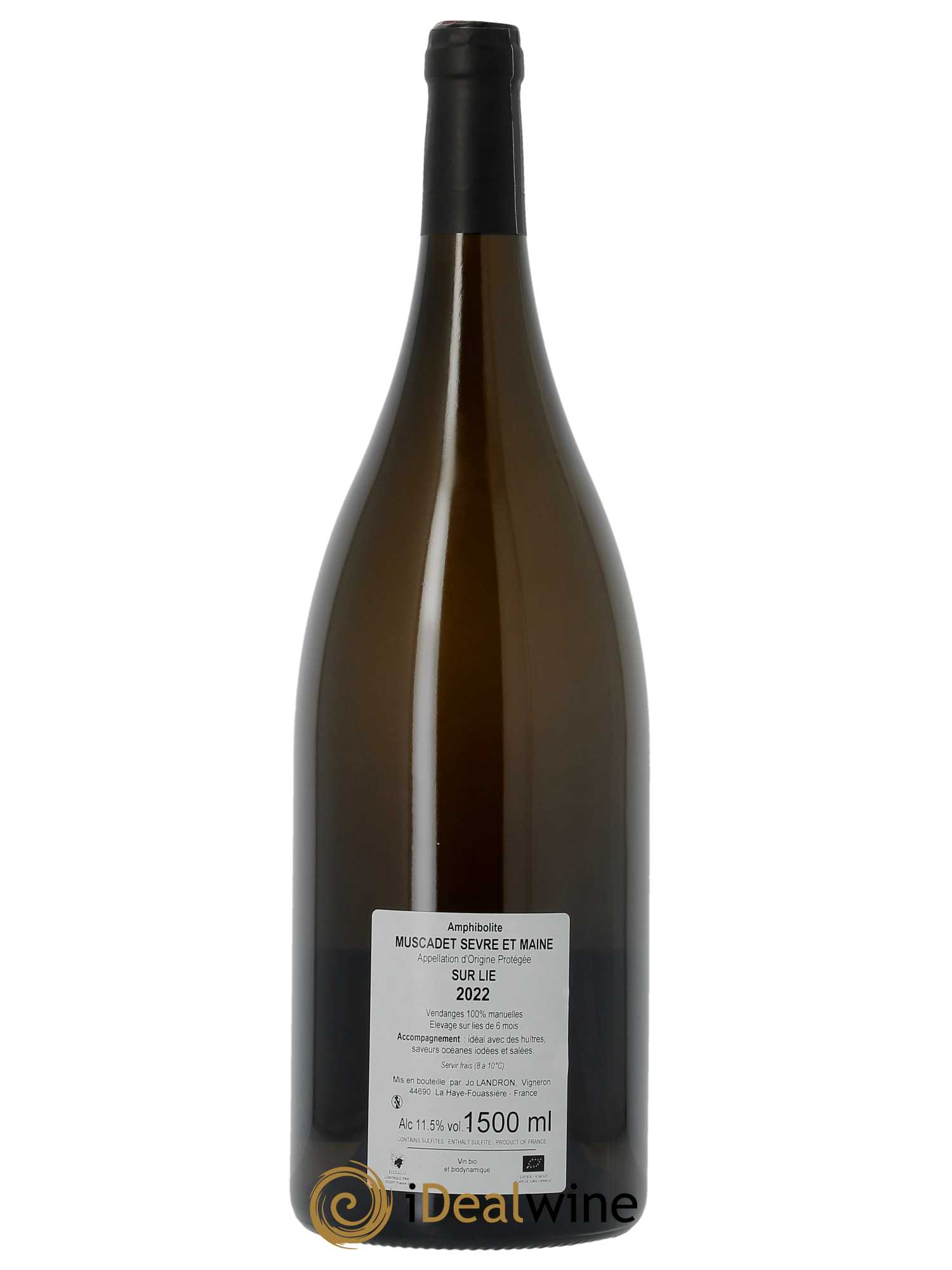 Muscadet-Sèvre-et-Maine Amphibolite Jo Landron  2022 - Lot de 1 Magnum