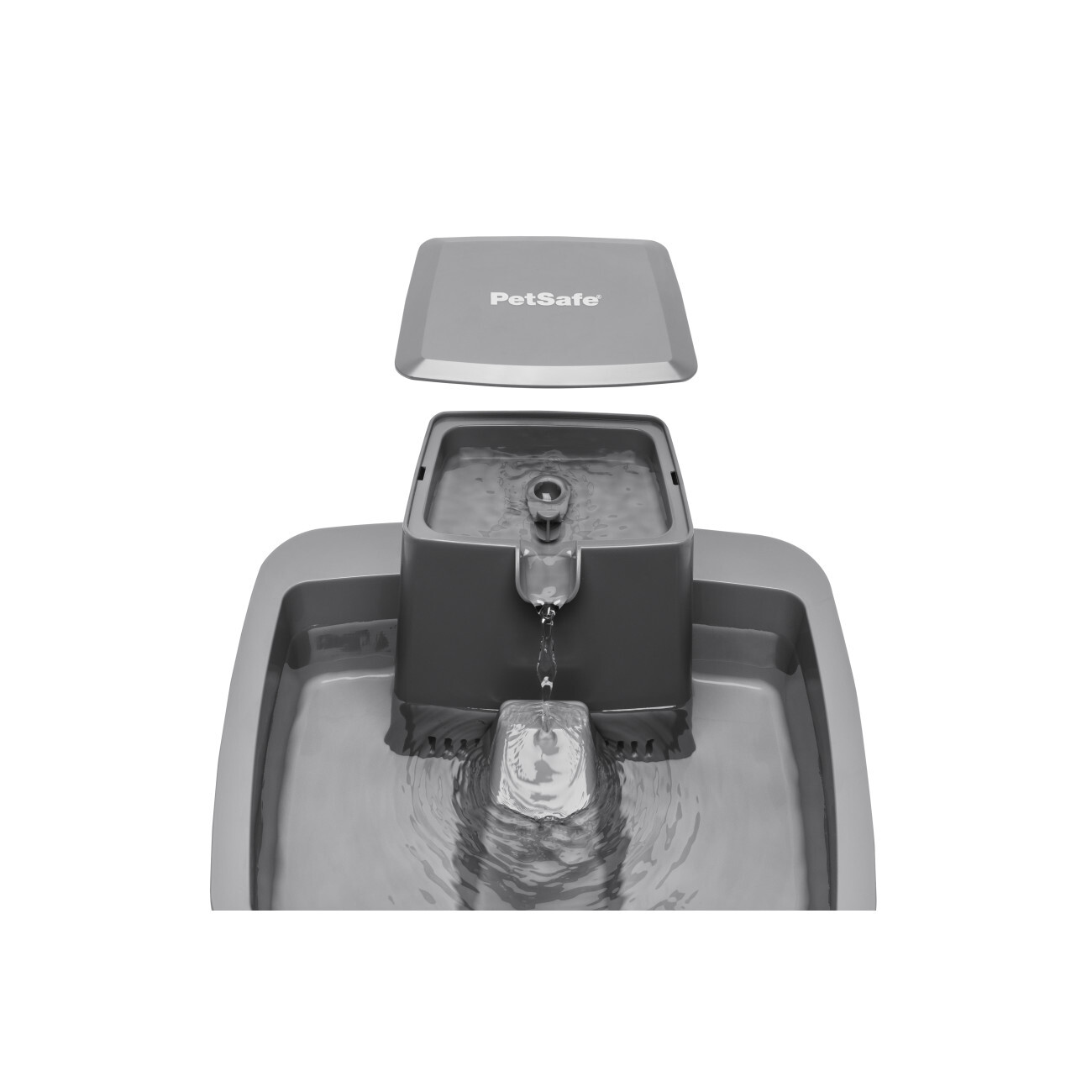 PetSafe Trinkbrunnen PetSafe Trinkbrunnen 3,7 l