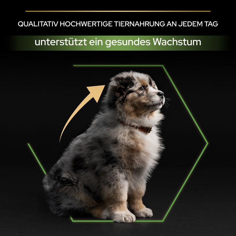 PURINA PRO PLAN Medium Puppy Healthy Start