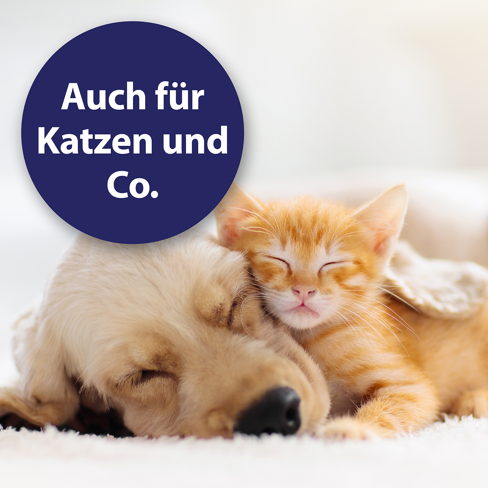 Canosept Fellpflege Canosept Wundspray für Hunde 75 ml