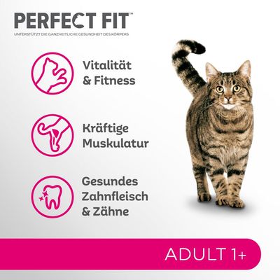 Perfect Fit Sterile 1+ Reich an Rind