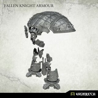 Fallen Knight Armour