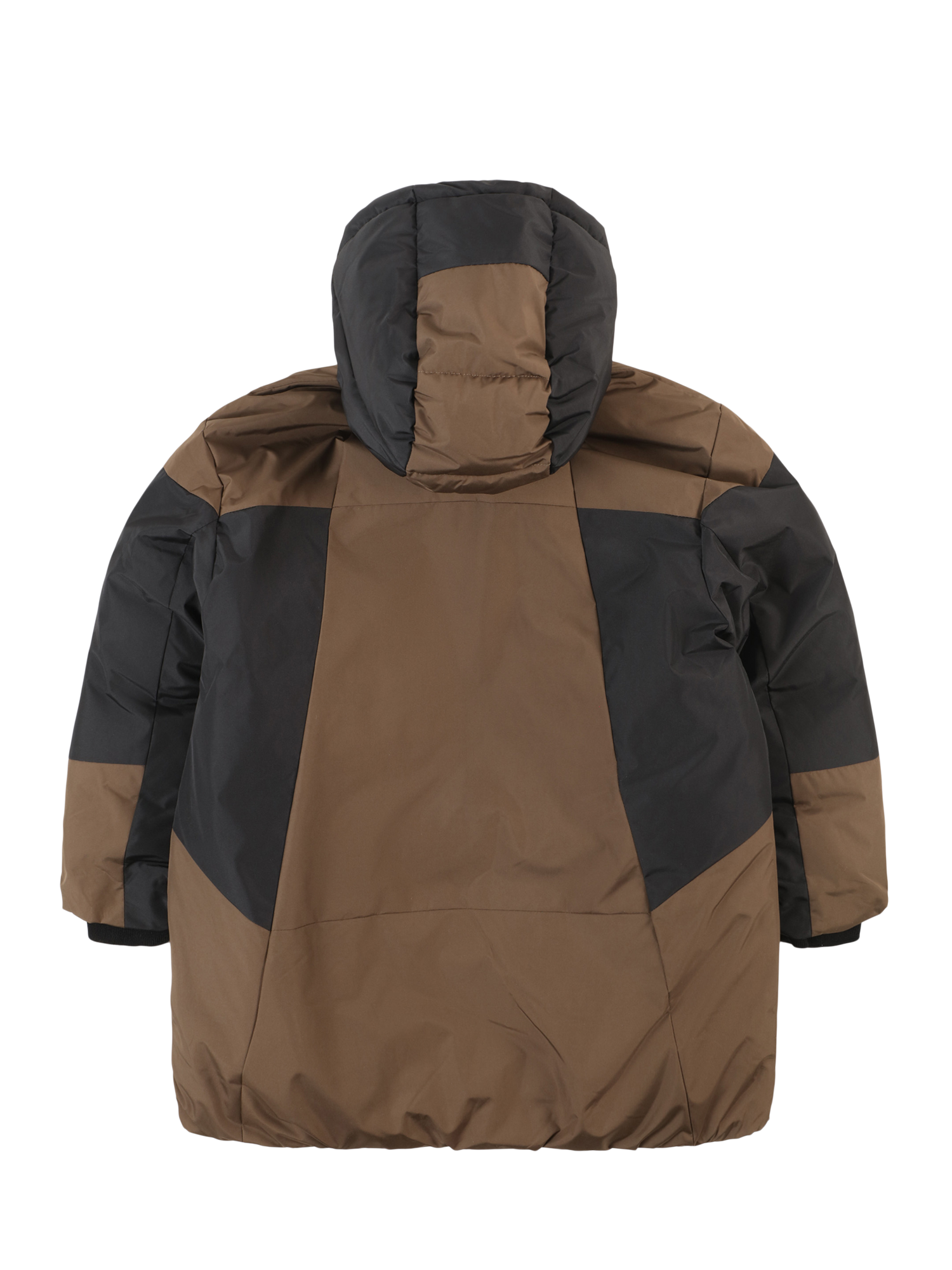 Winter Jacket