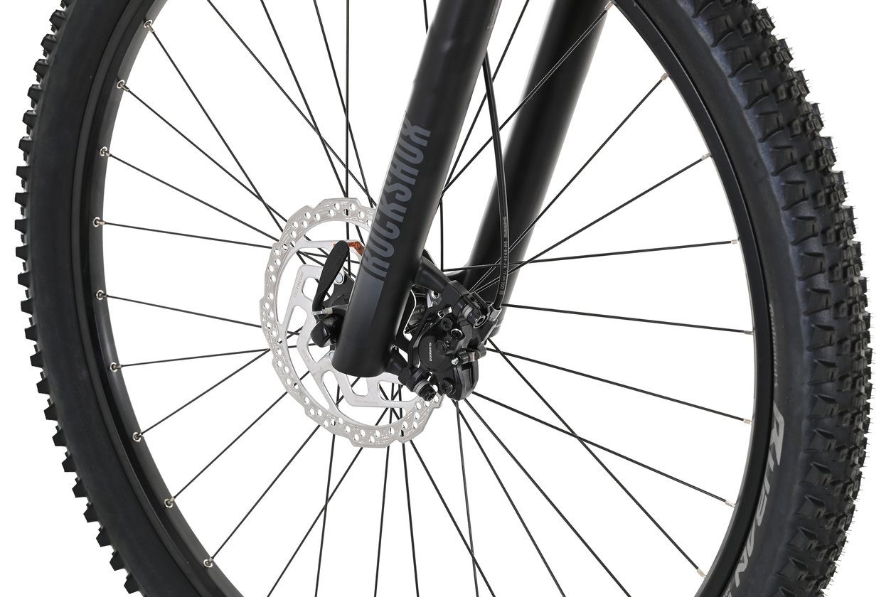 Carver Strict 170 - 2024 - 29 Zoll - Diamant