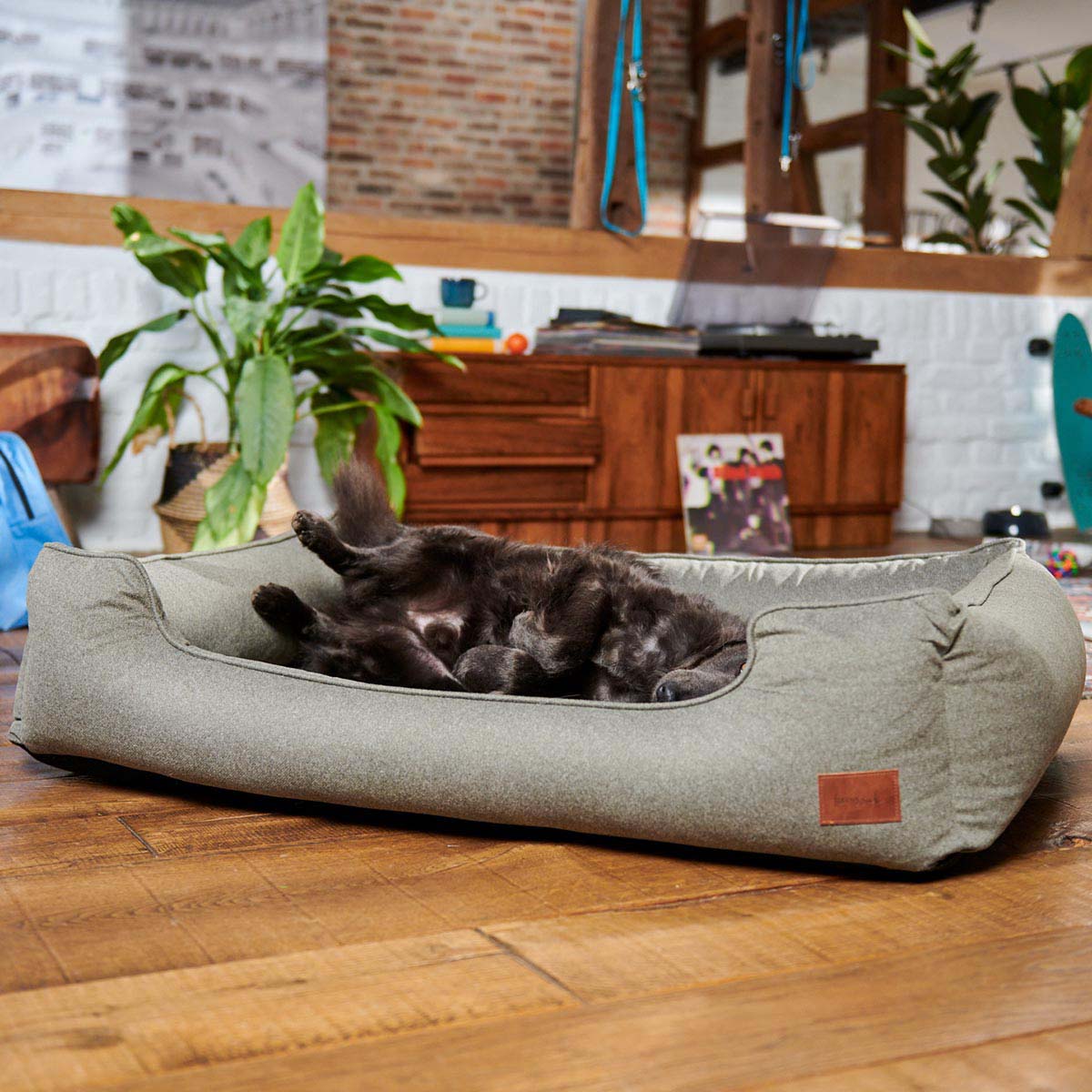 furrysoul orthopädisches Hundebett Lian anthrazit bei ZooRoyal