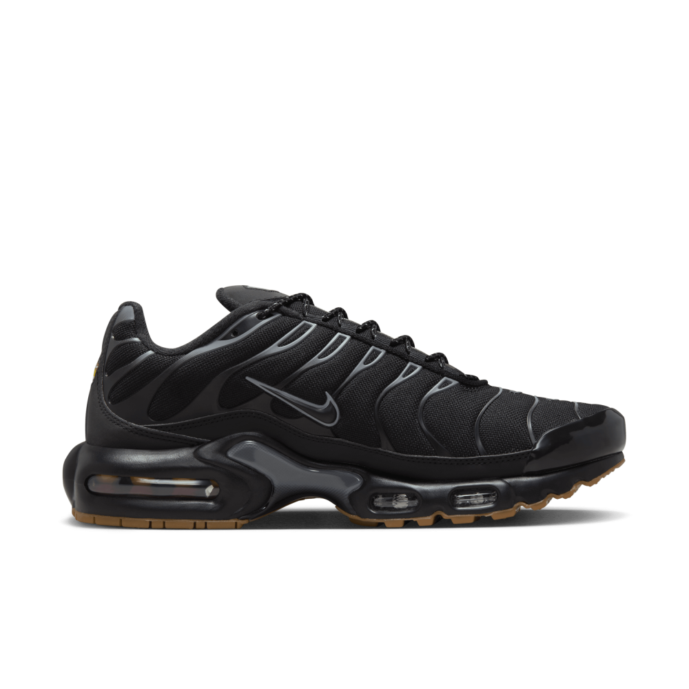 Nike Air Max Plus FV0385-001 / schwarz