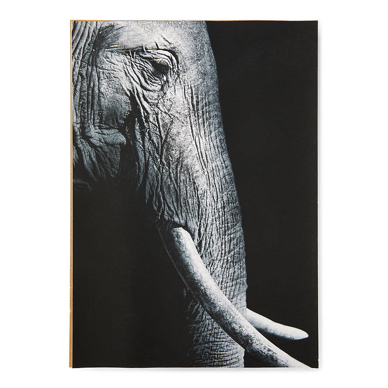 Home Poster 21x30 cm