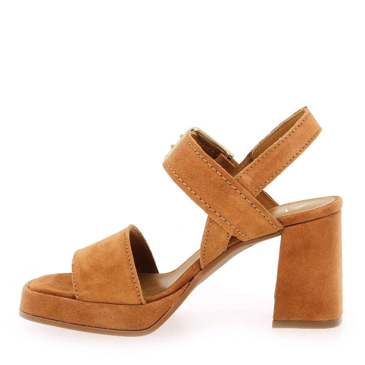 Alpe  2572 - Camel