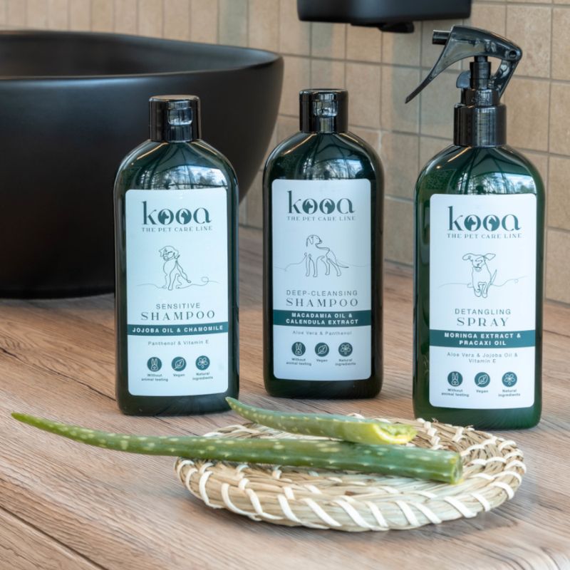 kooa Tiefenreinigungsshampoo zu TOP-Preisen