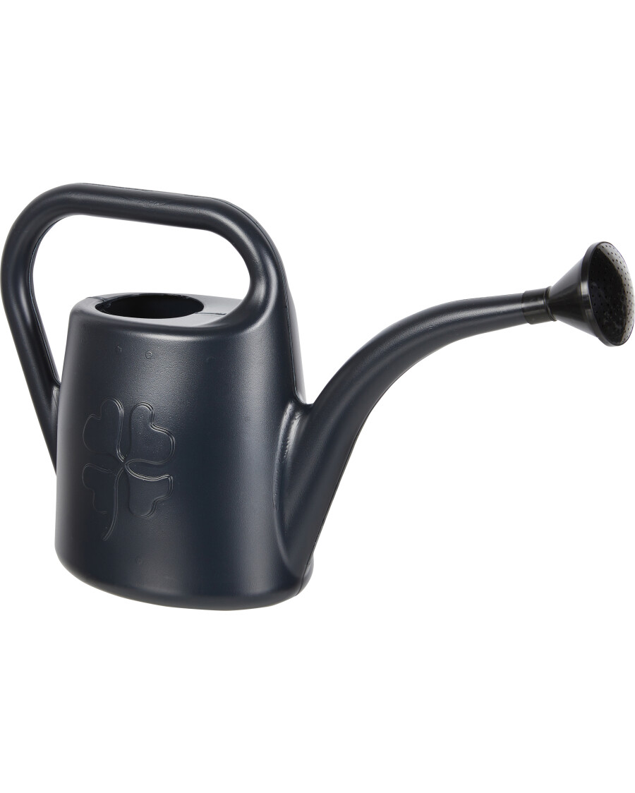 Gießkanne mit Brauseaufsatz