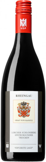 2020 Schlossberg Spätburgunder VDP.Erste Lage trocken Bio - Weingut Graf von Kanitz