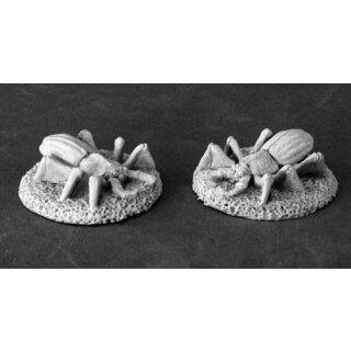 Fire Beetles (2 Stk.) (REA03544)